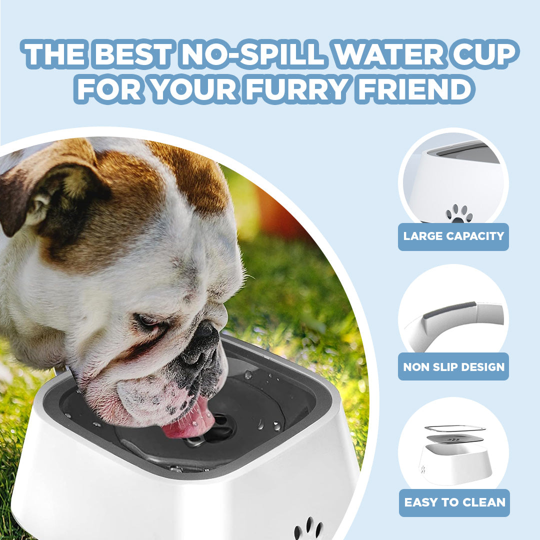 Zero Splash Dog Cup