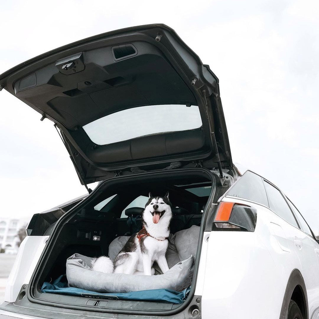Dog Car Seat For Back