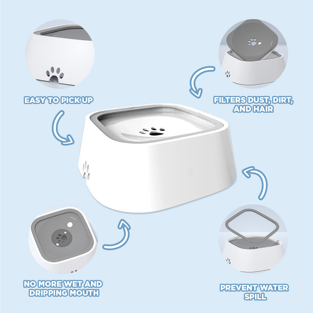 Ultimate Zero Splash Dog Water Bowl – Perfect Paw Store