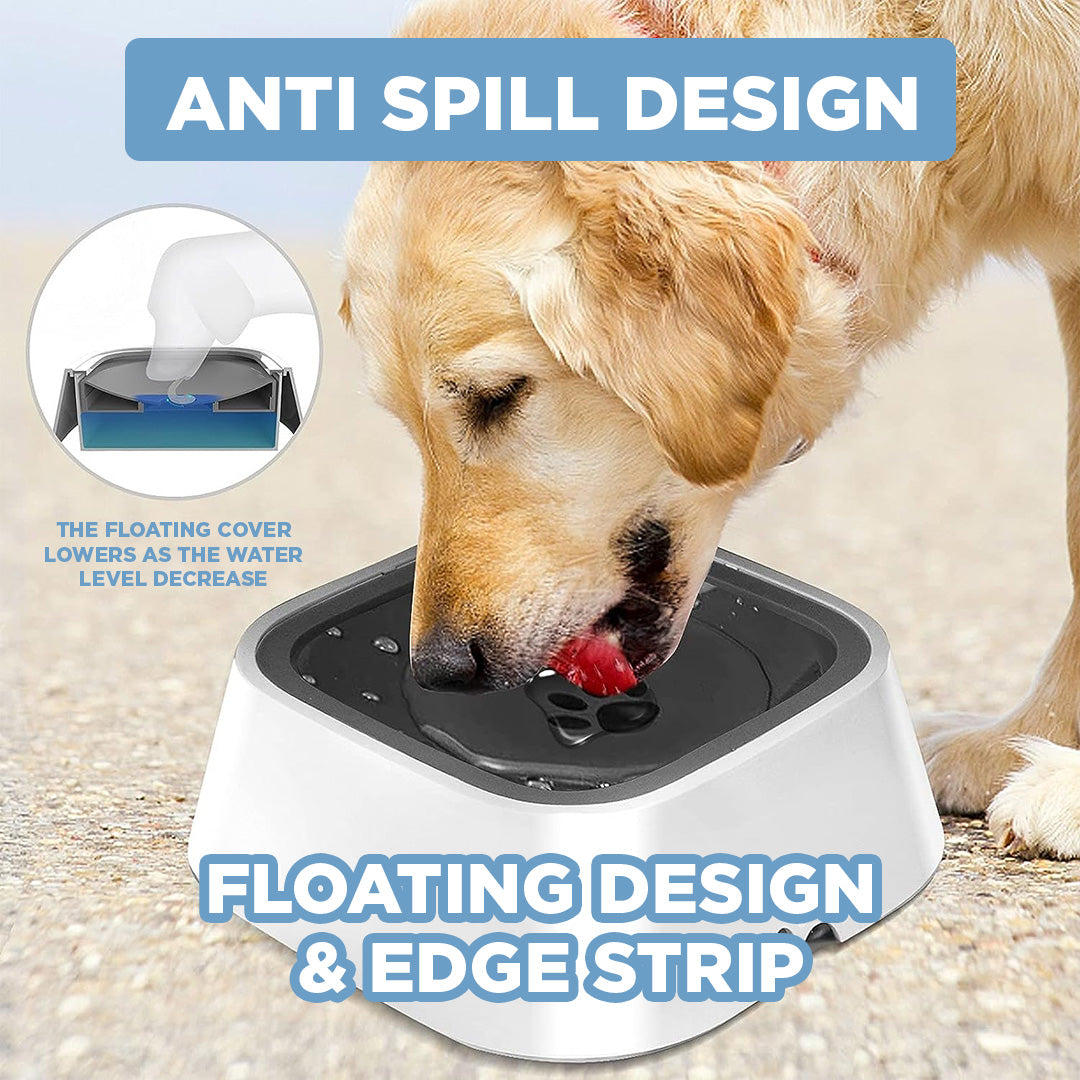 Ultimate Zero Splash Dog Water Bowl – Perfect Paw Store