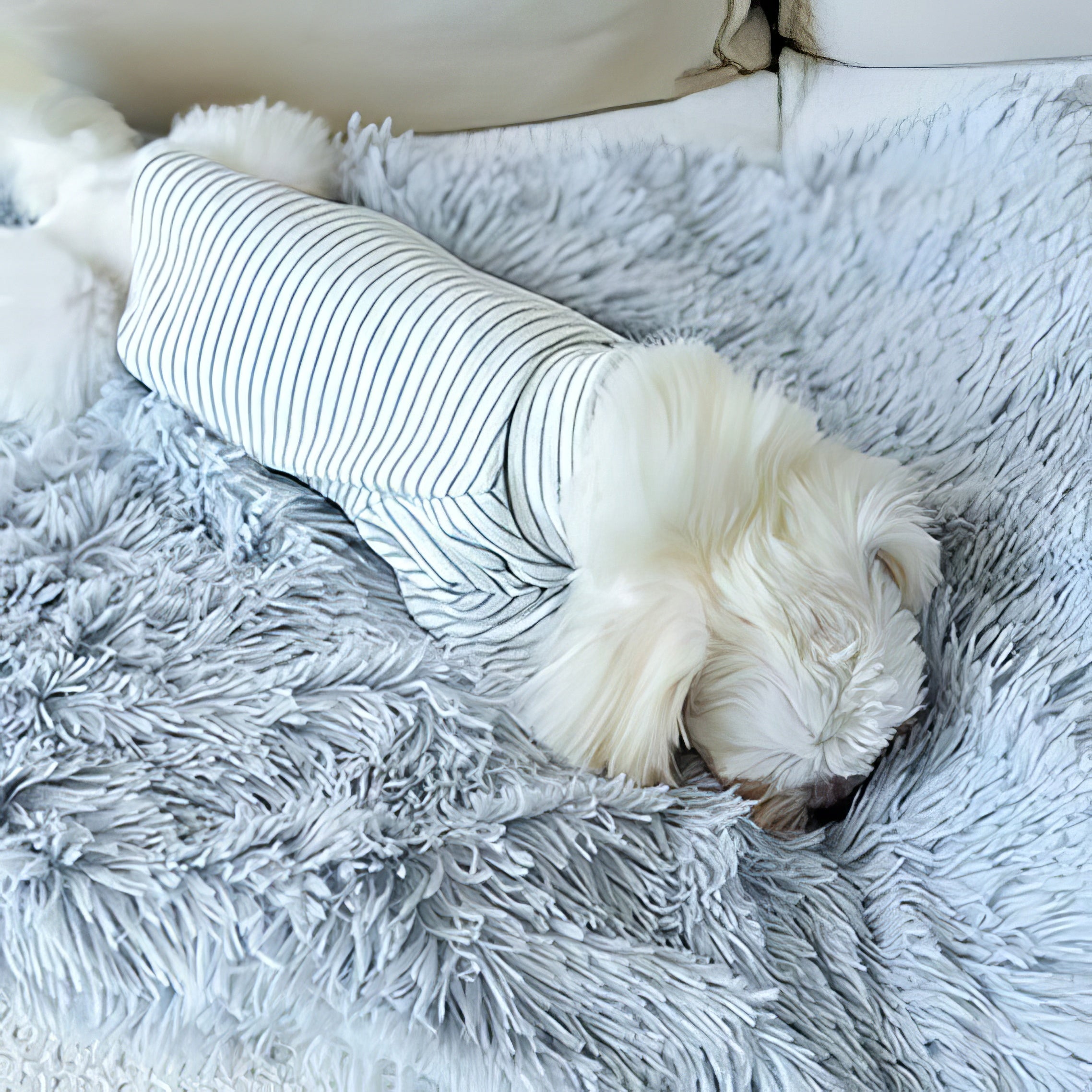 Fluffy Dog Blanket