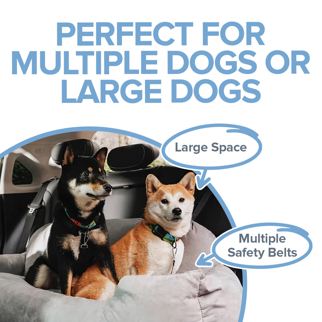 Car Seats for Dogs Safe and Comfortable Travel