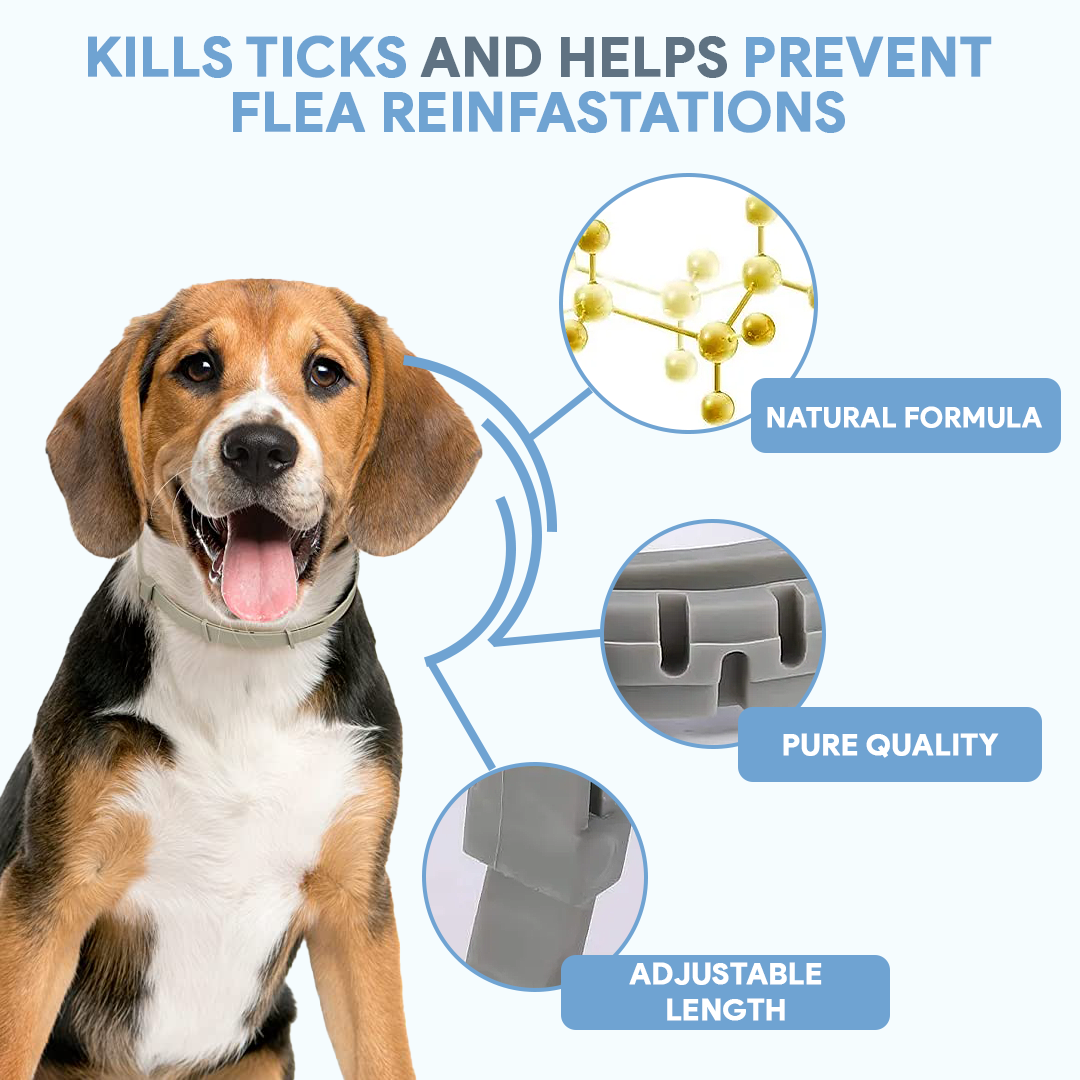 AntiTickCollar™ V.2. - Flea and tick repellent for up to 8 months!