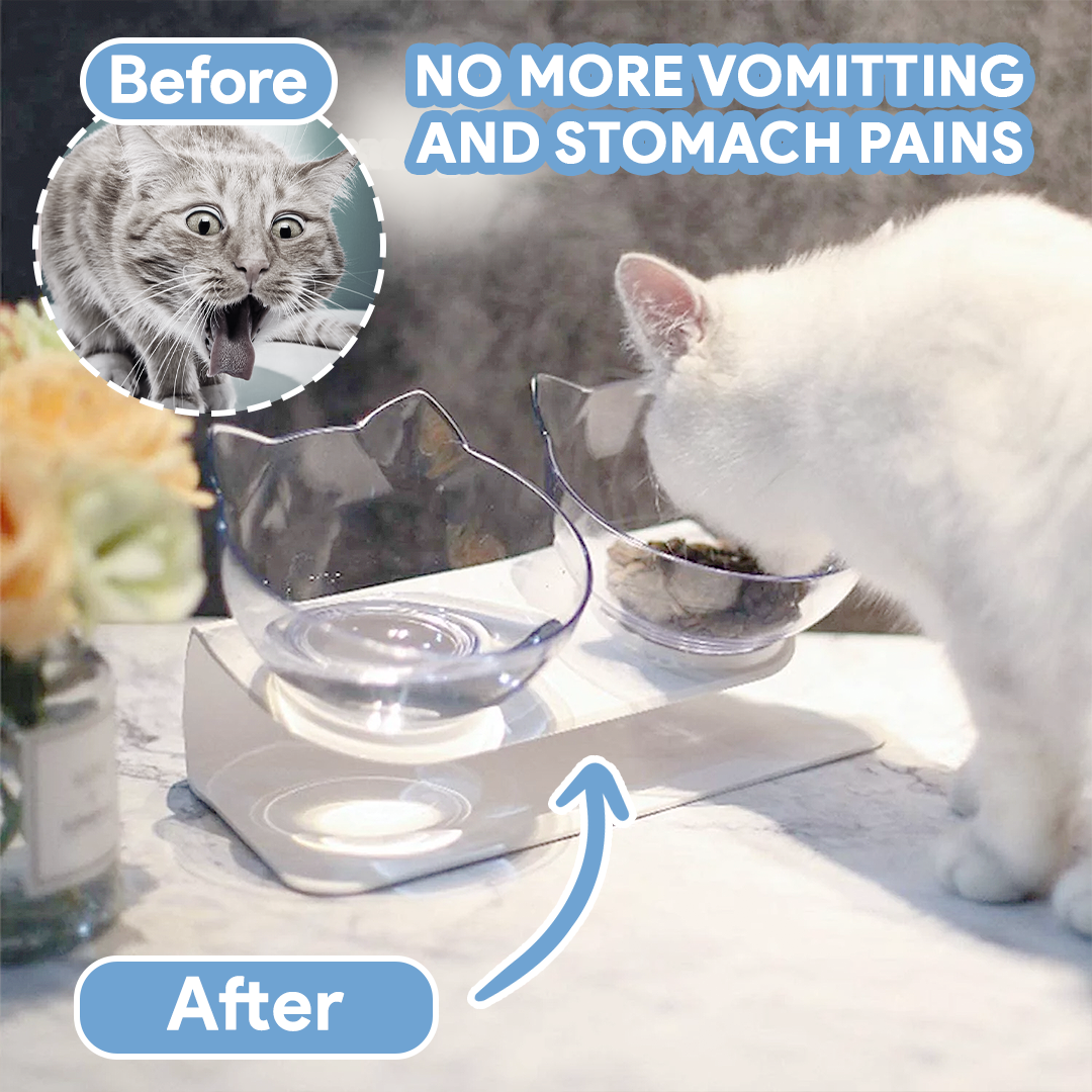 Anti-Vomiting Cat Bowl