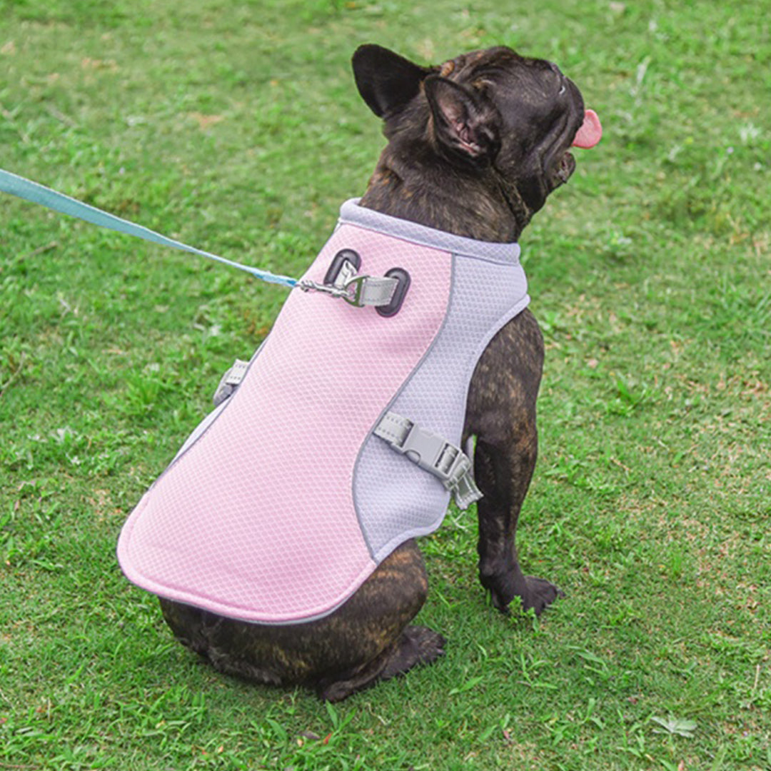 PetCool™ Dog Cooling Vest