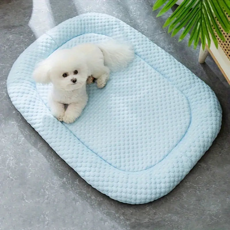 cute dogs bed