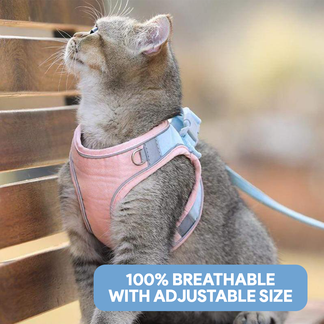 Breathable Cat Harness + Leash