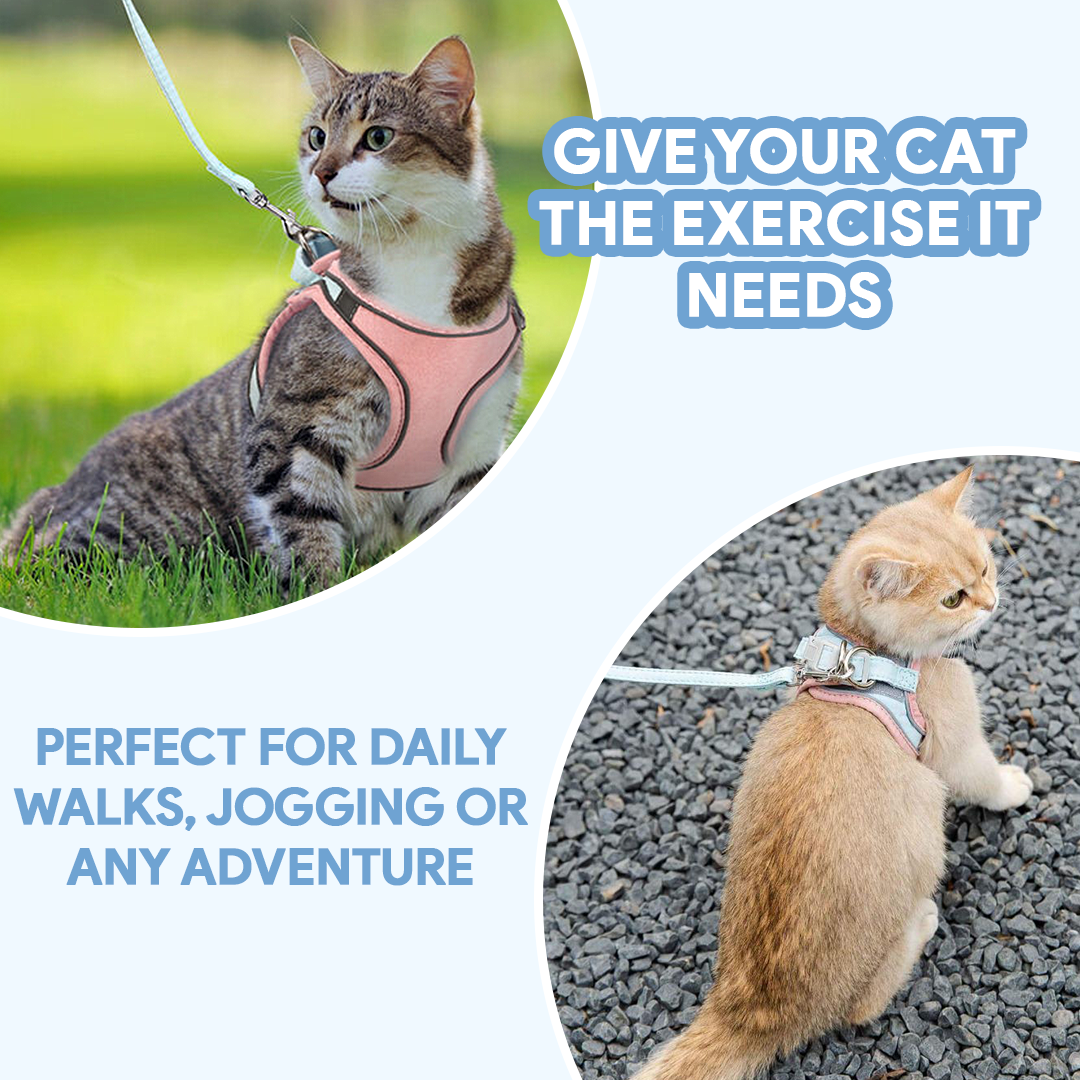 Breathable Cat Harness + Leash