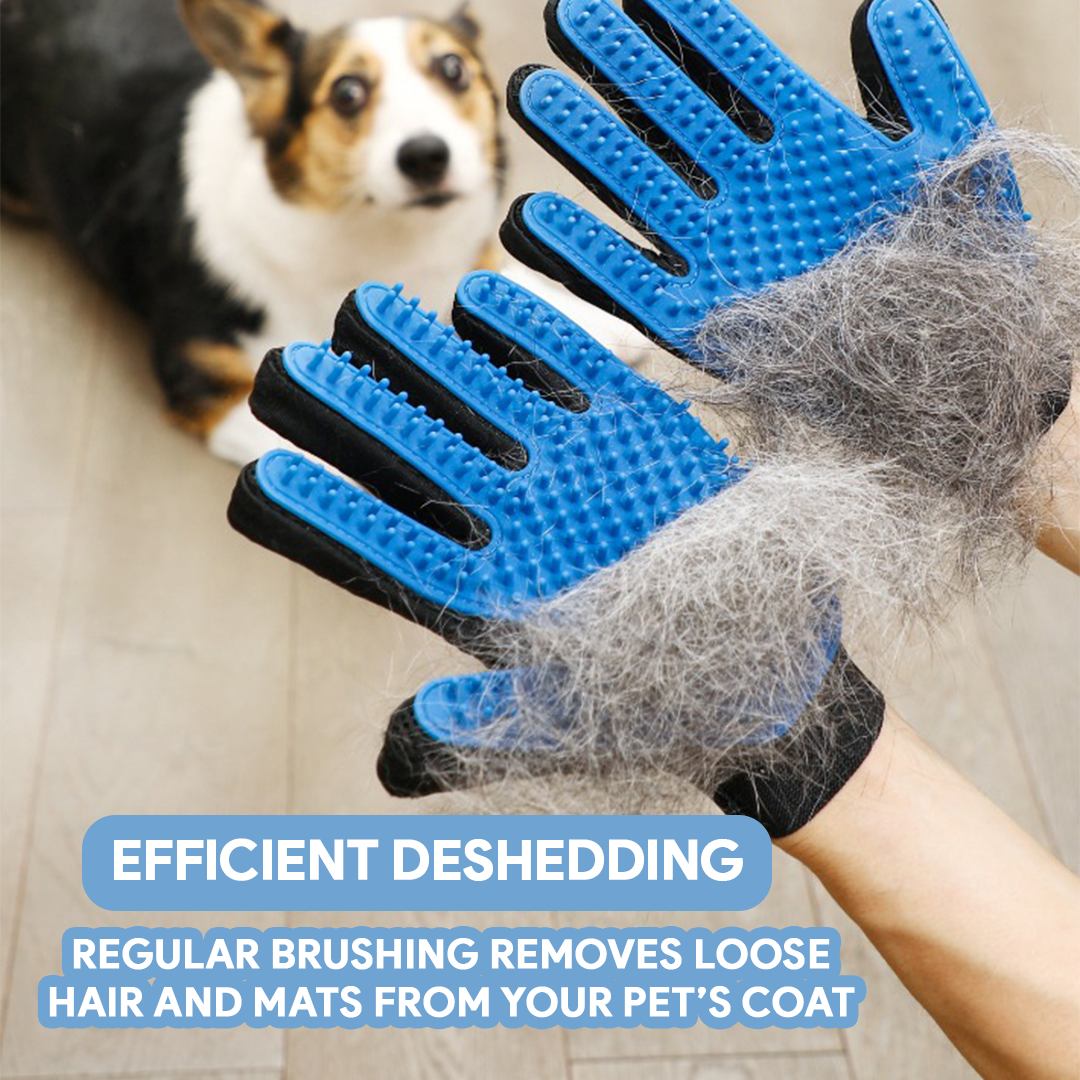 Grooming Pet Glove