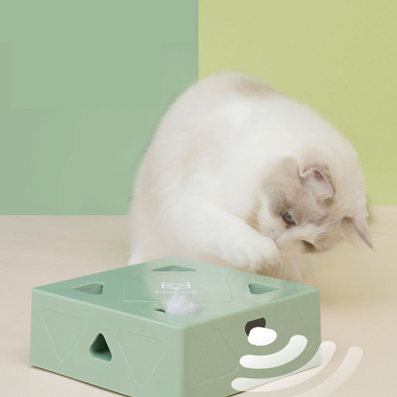 FunBox™ interactive Cat Toy